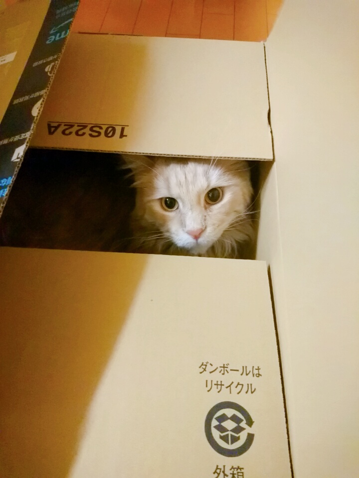 ミニえけ